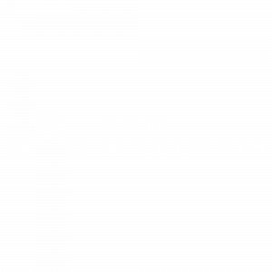 NEW MILLENNIA Logo